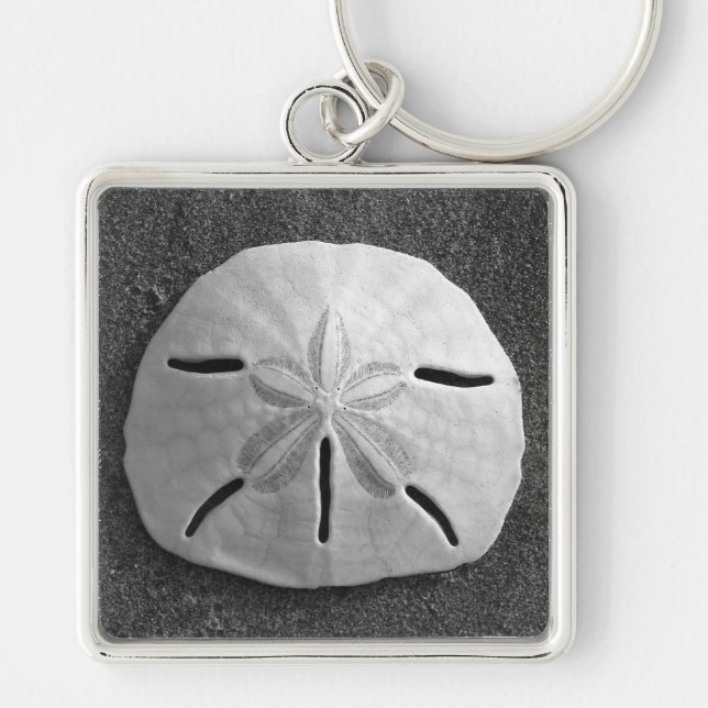 Sand Dollar Sea Shell Ocean Beach Keychain (Front)