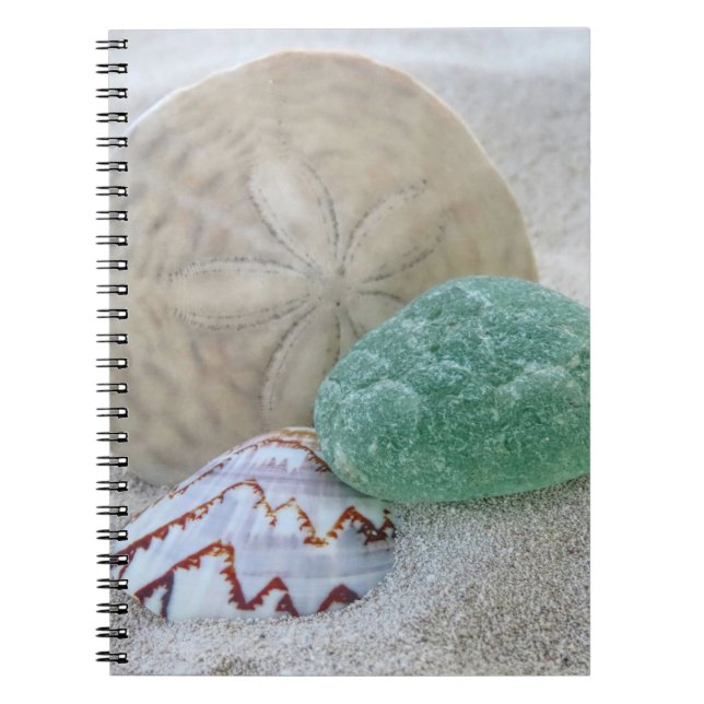 Sand dollar, seashell and sea glass - notebook (Front)