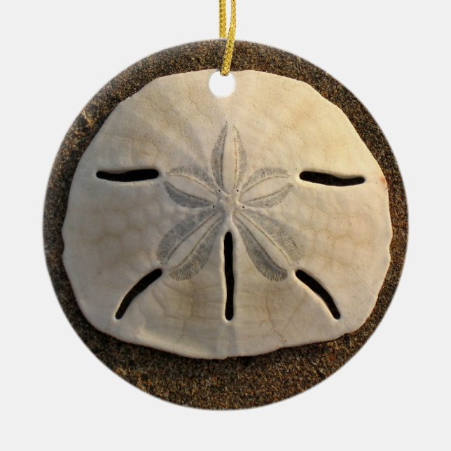 Sand Dollar Seashell Beach Ornament Pendant (Front)