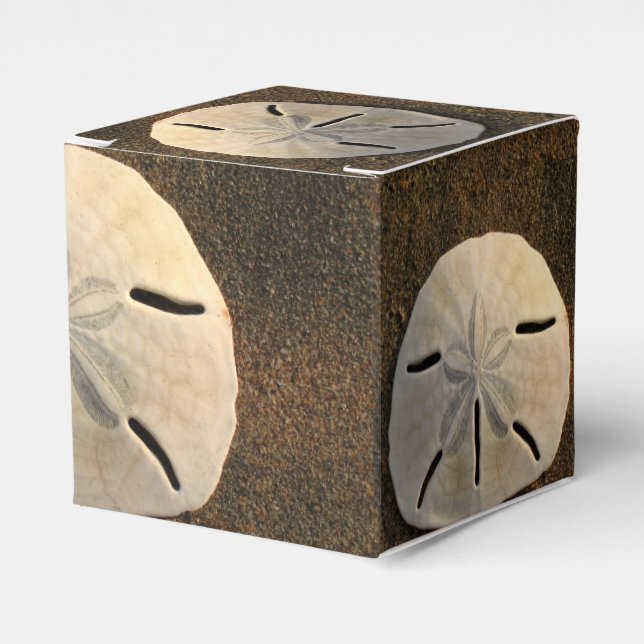 Sand Dollar Seashell Party Favour Custom Gift Box (Front Side)