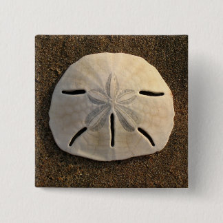 Sand Dollar Seashell Photo Button Custom Pins