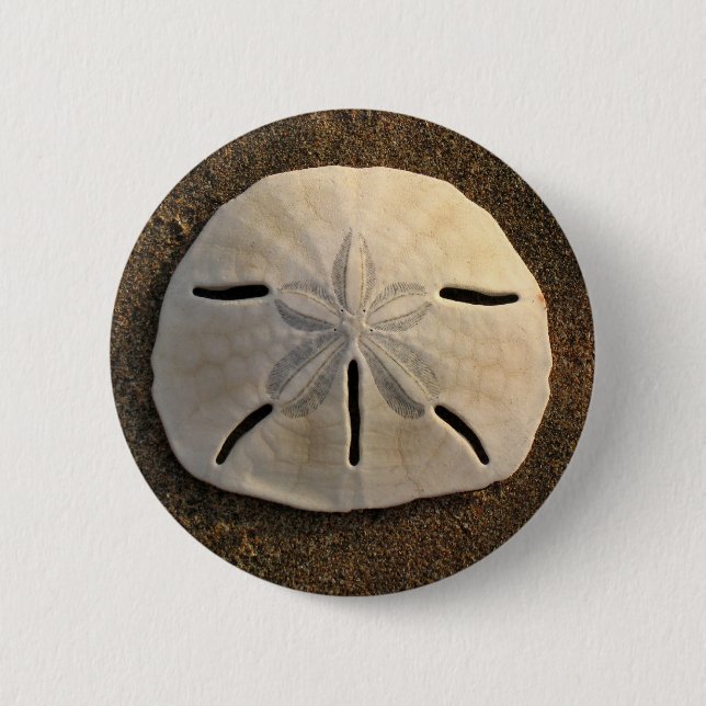 Sand Dollar Seashell Photo Custom Pin Button (Front)