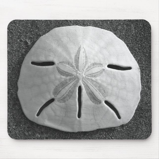 Sand Dollar Seashell Sand Beach Mousepad (Front)