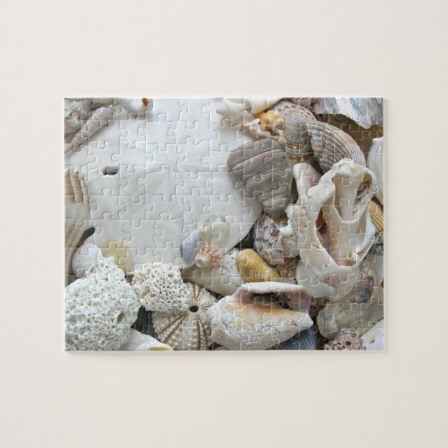 Sand Dollar Seashells Jigsaw Puzzle (Horizontal)