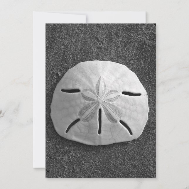 Sand Dollar Shell Beach Invitation (B&W Photo) (Front)