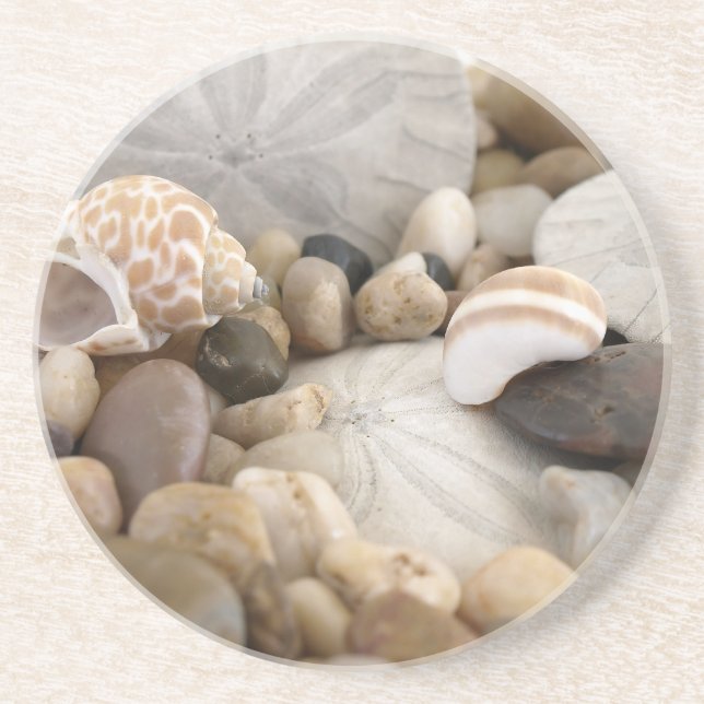 Sand Dollar Shells and Pebbles Coaster (Front)