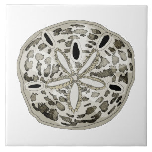 Sand dollar tile