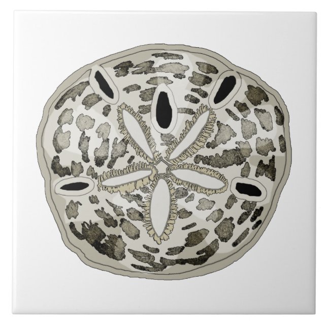Sand dollar tile (Front)