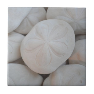Sand Dollar Tile
