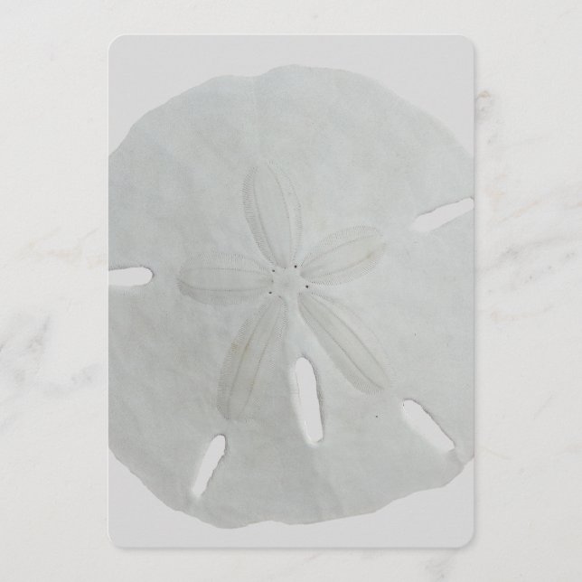 Sand Dollar Wedding Fan Program Paper (Front)