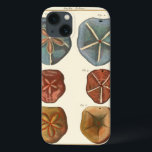 Sand Dollars Gems iPhone 13 Case<br><div class="desc">Sand dollars are a very unique sea gem. This image encompasses very unique and colourful sand dollars. Diderot contrasted these sand dollars with a soft cream coloured tone background. Get your sand dollar gems on your zazzle product today.</div>