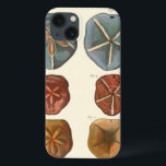 Sand Dollars Gems iPhone 13 Case<br><div class="desc">Sand dollars are a very unique sea gem. This image encompasses very unique and colourful sand dollars. Diderot contrasted these sand dollars with a soft cream coloured tone background. Get your sand dollar gems on your zazzle product today.</div>