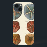 Sand Dollars Gems iPhone 13 Case<br><div class="desc">Sand dollars are a very unique sea gem. This image encompasses very unique and colourful sand dollars. Diderot contrasted these sand dollars with a soft cream coloured tone background. Get your sand dollar gems on your zazzle product today.</div>
