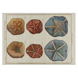 Sand Dollars Gems Cutting Board