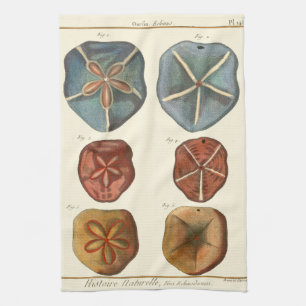 Sand Dollars Gems Tea Towel