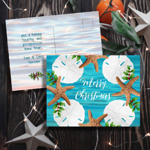 Sand Dollars Starfish Christmas Message Postcards