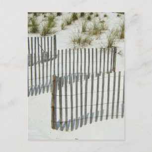 Sand Dune Fence Postcard