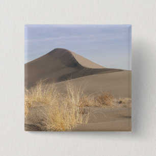 Sand dune formations. Bruneau Dunes State Park 2 15 Cm Square Badge