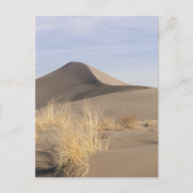 Sand dune formations. Bruneau Dunes State Park 2 Postcard (Front)