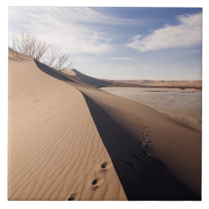 Sand dune formations. Bruneau Dunes State Park Ceramic Tile