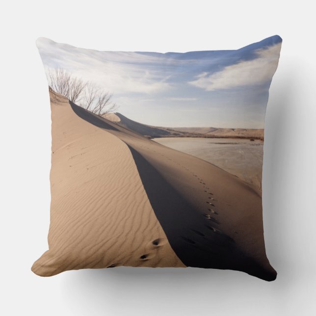 Sand dune formations. Bruneau Dunes State Park Cushion (Front)