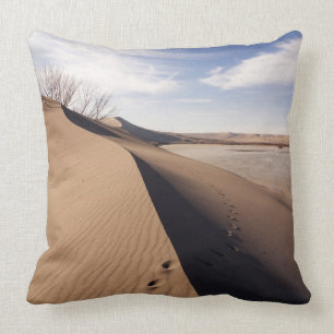 Sand dune formations. Bruneau Dunes State Park Cushion