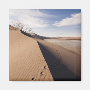 Sand dune formations. Bruneau Dunes State Park Magnet