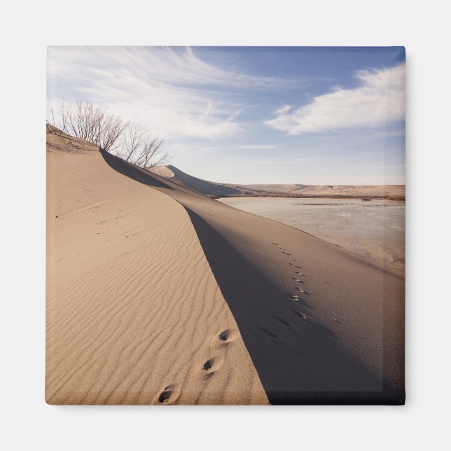 Sand dune formations. Bruneau Dunes State Park Magnet (Front)