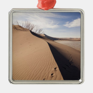 Sand dune formations. Bruneau Dunes State Park Metal Tree Decoration