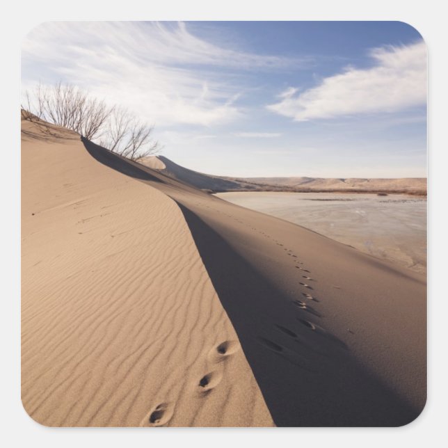 Sand dune formations. Bruneau Dunes State Park Square Sticker (Front)