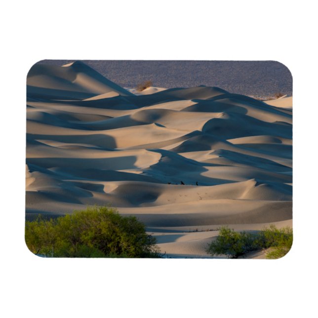 Sand dune landscape, California Magnet (Horizontal)