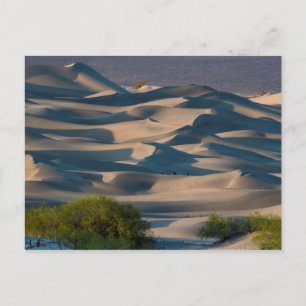 Sand dune landscape, California Postcard