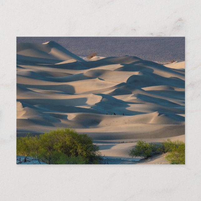 Sand dune landscape, California Postcard (Front)