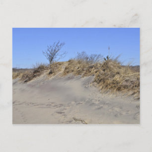 Sand Dune Postcard