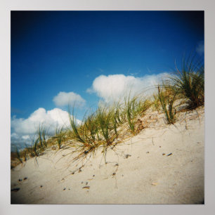 Sand dune print