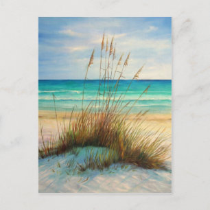 sand dunes 1.jpg postcard