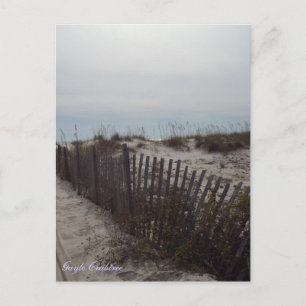 Sand dunes and beach on the Gulf Coast, Alabama Postcard