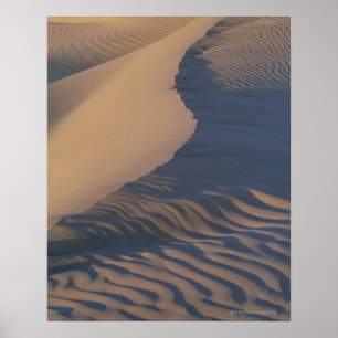 Sand dunes at Mesquite Flats Poster