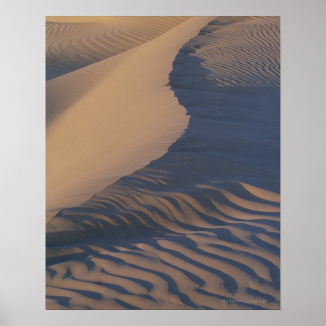 Sand dunes at Mesquite Flats Poster (Front)