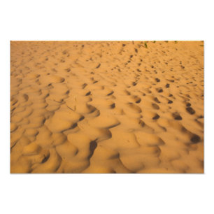 Sand Dunes at Pictured Rocks NL, Michigan Photo Print