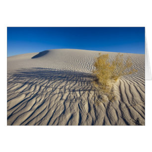 Sand dunes at White Sands National Monument in 3