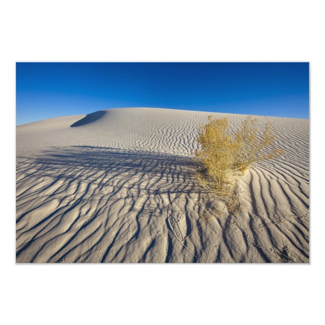 Sand dunes at White Sands National Monument in 3 Photo Print (Front)