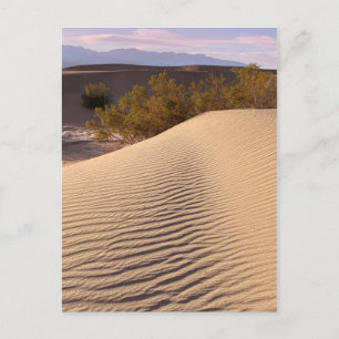 Sand Dunes Death Valley National Park Postcard