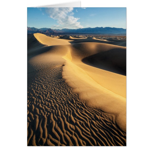 Sand dunes in Death Valley, CA (Front)
