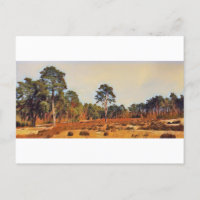 Sand dunes in Holm near Hamburg nature art