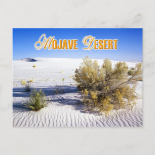 Sand Dunes in the Mojave Desert, California Postcard