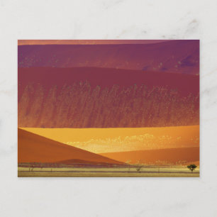Sand Dunes Namib-Naukluft National Park Namibia Postcard