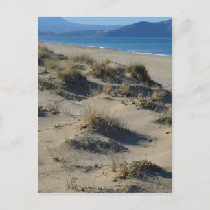 Sand Dunes Postcard