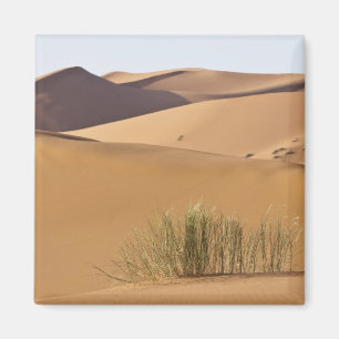 Sand dunes, Sahara desert, Morocco Magnet