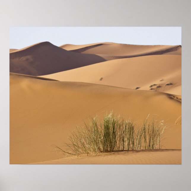 Sand dunes, Sahara desert, Morocco Poster (Front)